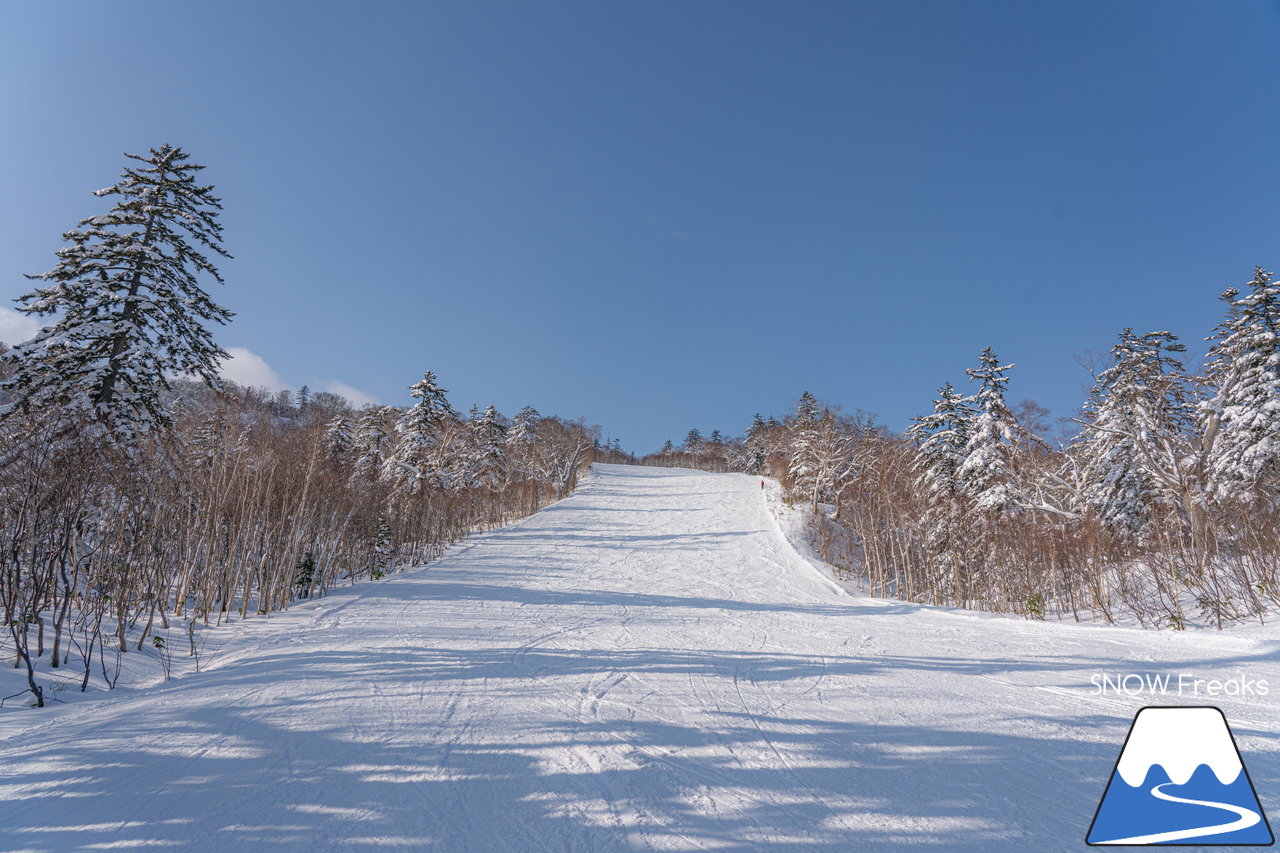 札幌国際スキー場｜積雪100cm超え！名物の急斜面『ダウンヒルコース』を含む、全てのコースが気持ち良～く滑走可能です(^^)/